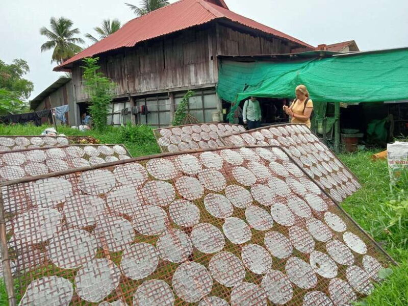 Battambang: Local Livelihood Bike Tour - An In-Depth Look at the Battambang Local Livelihood Bike Tour
