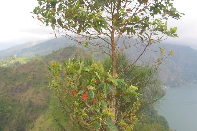 Batur Caldera Sunrise Trekking - Authentic Experiences & Authentic Guides
