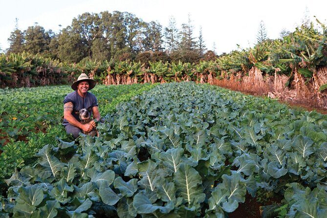 Bauntis Farm and Industry Tour in Norfolk Island - What the Tour Offers: A Detailed Breakdown