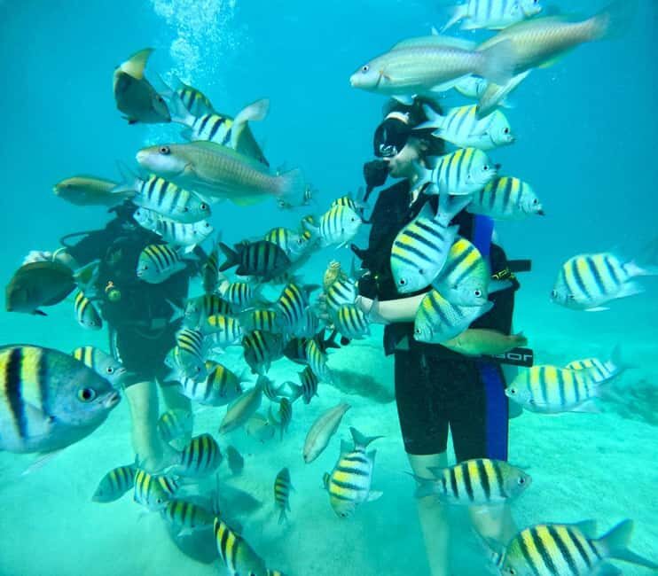 Bávaro: Scuba Diving Experience for Beginners - Key Points