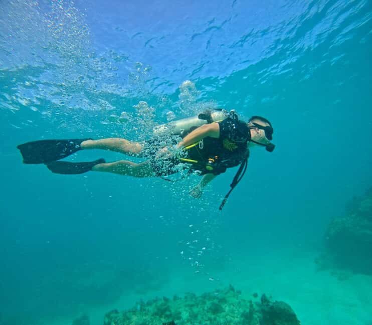 Bávaro: Scuba Diving Experience for Beginners - An Honest Look at the Scuba Experience in Bávaro