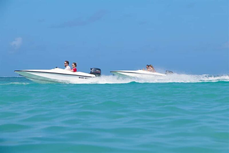 Bávaro: Speed Boat and Snorkeling Trip - Key Points