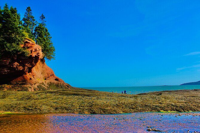Bay Of Fundy Guided Tour - What You Get with the Bay of Fundy Guided Tour
