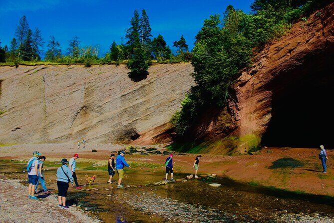 Bay Of Fundy Guided Tour - Practical Considerations: Price, Timing, and Comfort