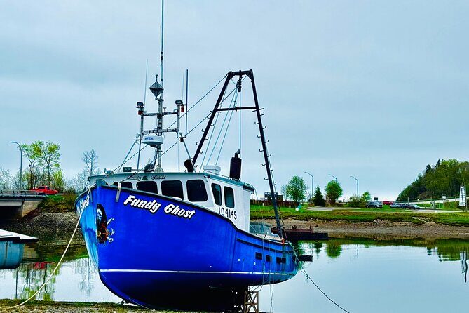 Bay Of Fundy Guided Tour - Who Will Love This Tour?