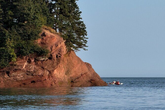 Bay Of Fundy Guided Tour - The Sum Up