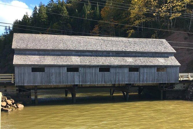 Bay of Fundy Tour by Bus - A Deep Dive into the Tour Experience