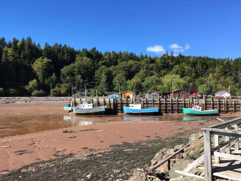 Bay of Fundy Tour by Mini Van - What’s Included and How It Works
