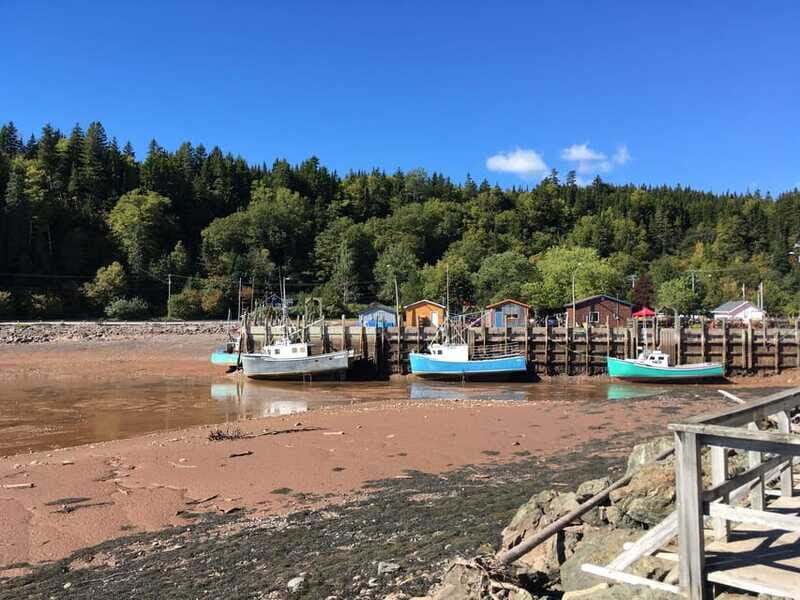 Bay of Fundy Tour by Mini Van - Final Thoughts: Is It Worth It?