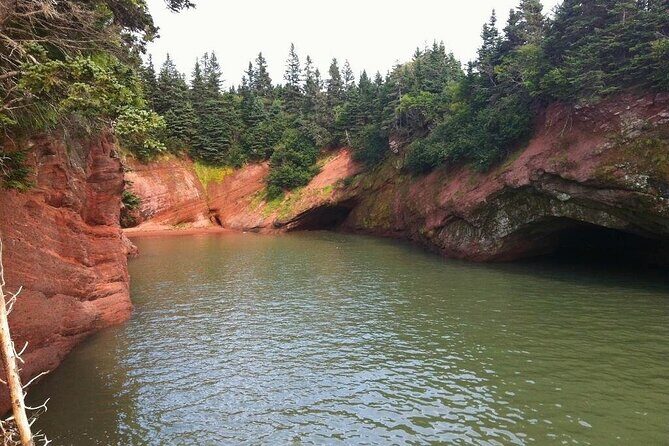 Bay of Fundy Tour in Luxury Car - Downtown Charm: Saint John City Market