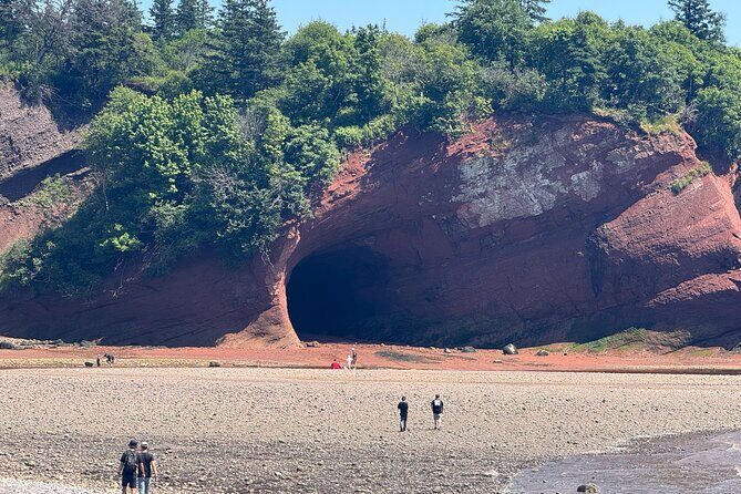 Bay of Fundy Tour Saint John NB - Authentic Feedback from Travelers