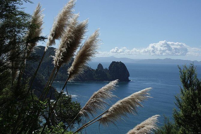 Bay of Islands 2-Day Small Group Tour & Cruise from Auckland - FAQ