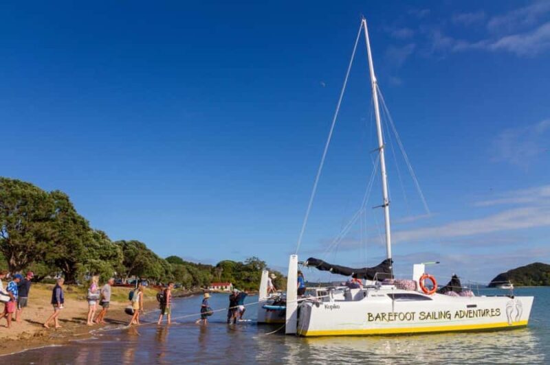 Bay of Islands 2-Hour Sundowner Evening Sailing Cruise - The Value Proposition