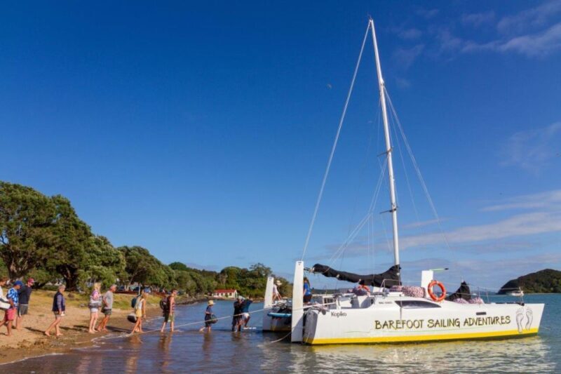 Bay of Islands 2-Hour Sundowner Evening Sailing Cruise - Final Thoughts: Who Should Book This?