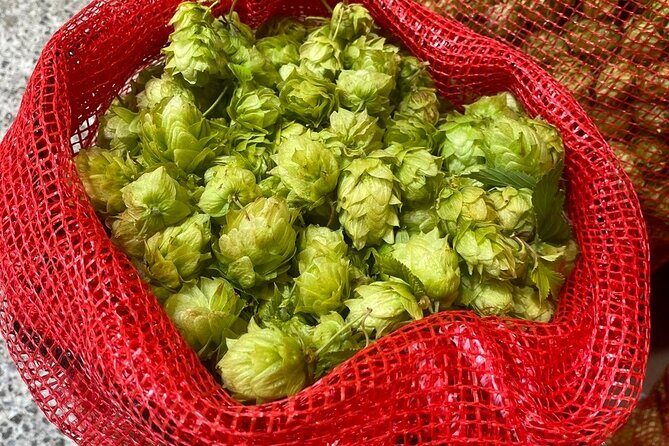 Bay of Islands Craft Beer Brewery Tour and Haruru Falls, Paihia - FAQ
