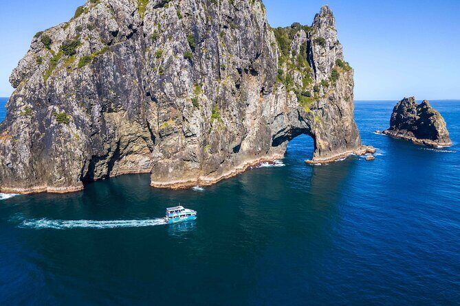 Bay of Islands Cruise & Island Tour - Snorkel, Hike,Swim,Wildlife - Key Points