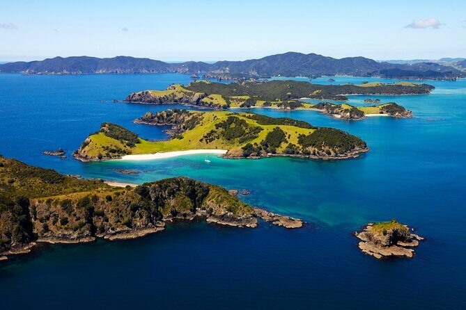 Bay of Islands Cruise & Island Tour - Snorkel, Hike,Swim,Wildlife - What’s Included and How it’s Organized