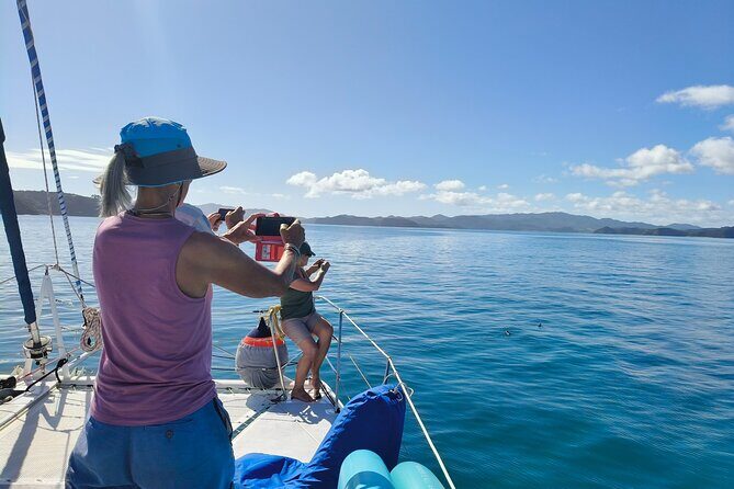 Bay of Islands: Day Sailing Cruise with Island Stop and Lunch - What Travelers Say