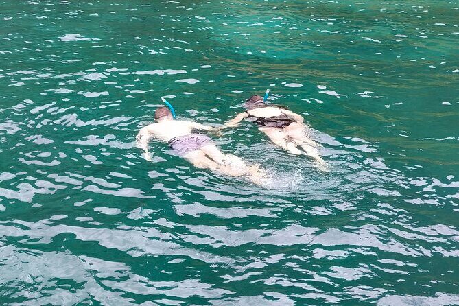 Bay of Islands: Day Sailing Cruise with Island Stop and Lunch - Practical Tips for Booking and Enjoying Your Day
