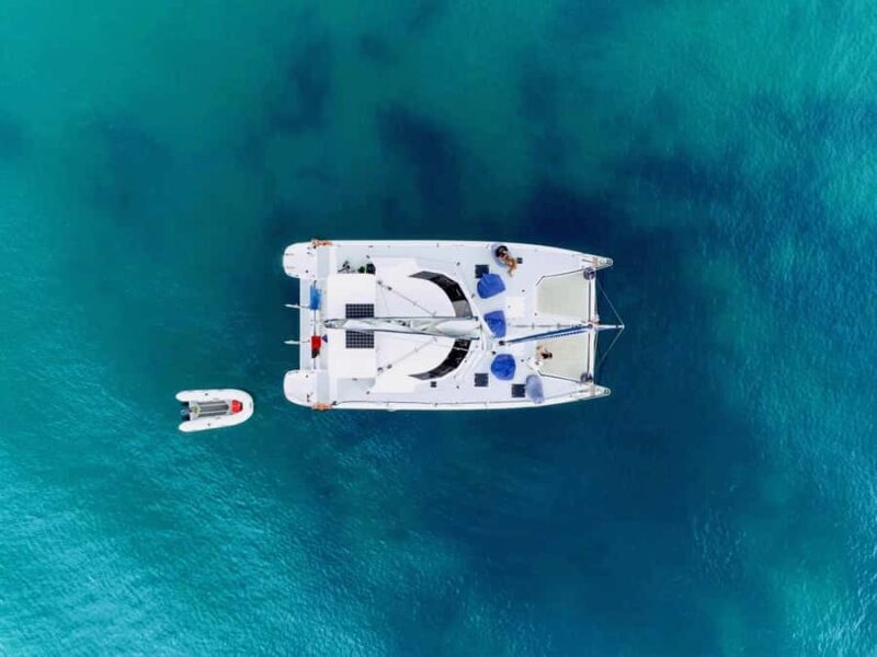 Bay of Islands: Day Sailing Cruise with Island Stop & Lunch - Marine Life and Scenery