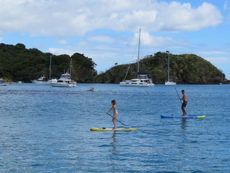 Bay of Islands: Day Sailing Cruise with Island Stop & Lunch - Lunch on Board