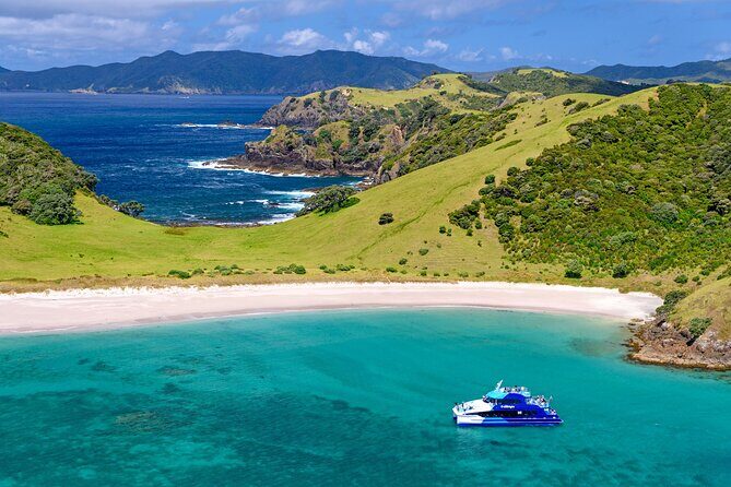 Bay of Islands Discovery Experience from Auckland incl. Hole In The Rock Cruise - Wildlife and Marine Life