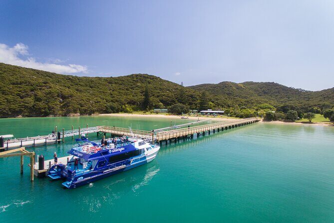Bay of Islands Explorer Experience Small Group Tour From Auckland - The Itinerary in Detail: What to Expect