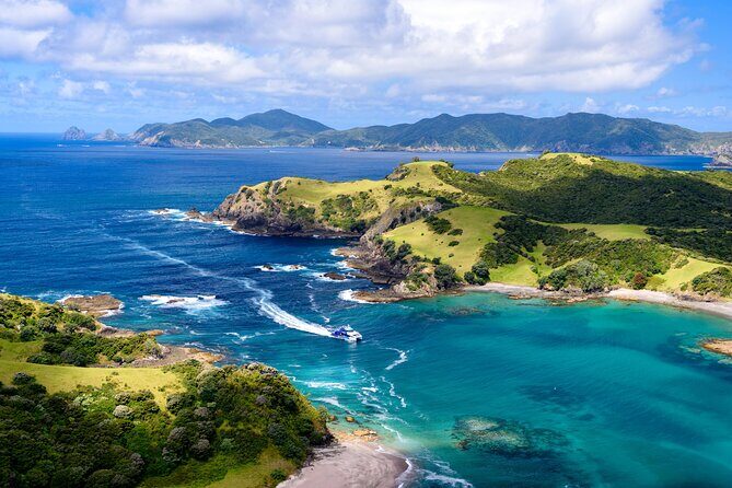 Bay of Islands Explorer Experience Small Group Tour From Auckland - Who Will Enjoy This Tour?