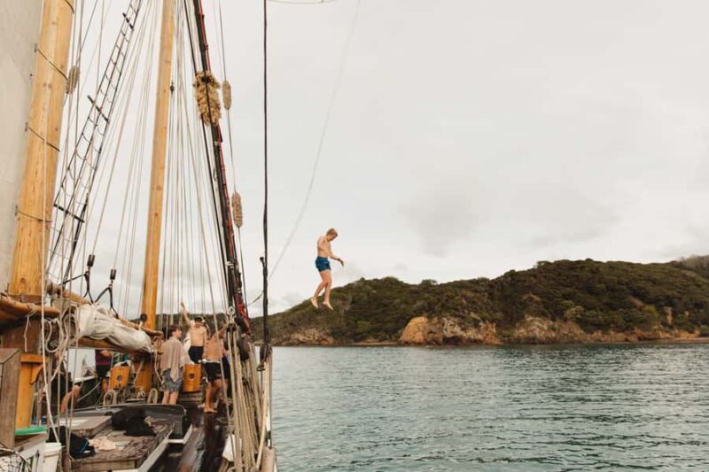 Bay of Islands: Full-Day Tall Ship Sailing Excursion - Who Will Love This Tour?