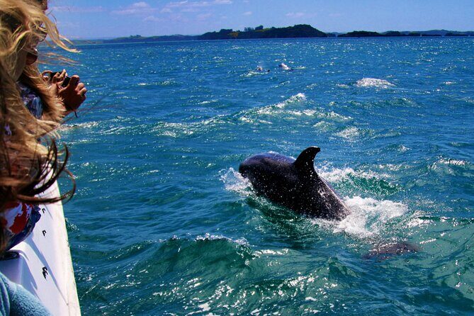 Bay of Islands Hole in the Rock Cruise Day Tour - Key Points
