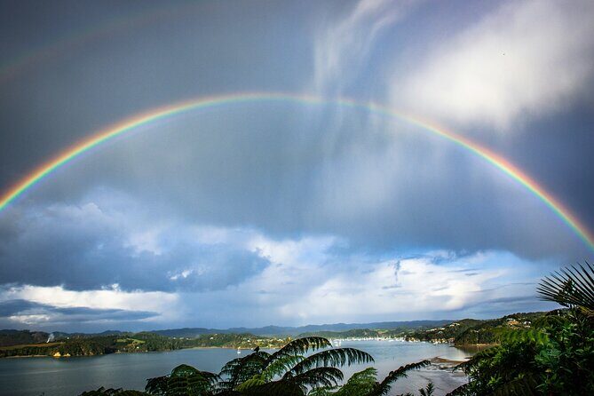 Bay of Islands Hole in the Rock Cruise Day Tour - Final Thoughts: Who Should Consider This Tour?