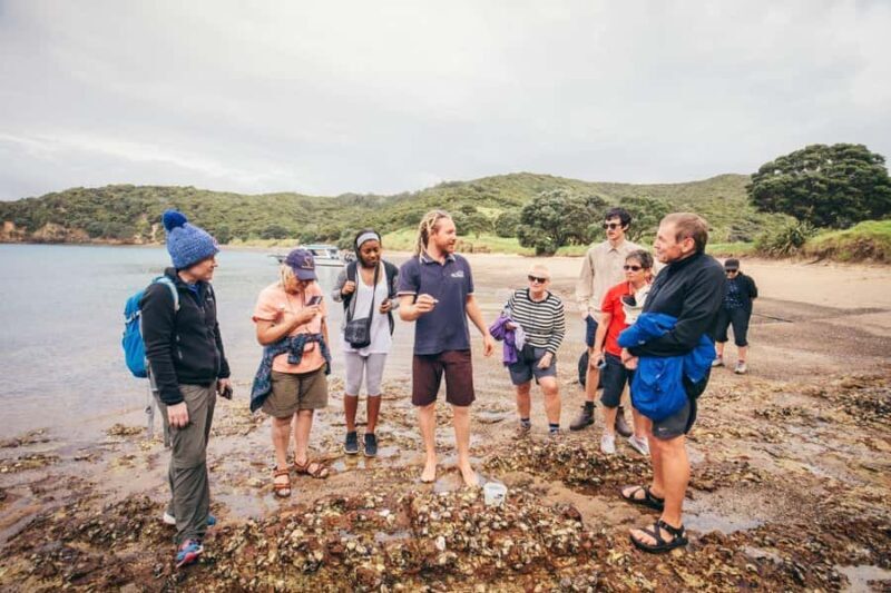 Bay of Islands Journey: Sail, Snorkel & Explore in 5 Days - Exploring North Island: What to Expect