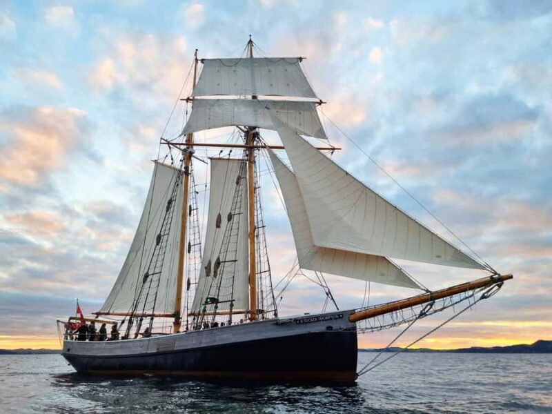Bay of Islands: Late Afternoon Sailing Cruise - Key Points