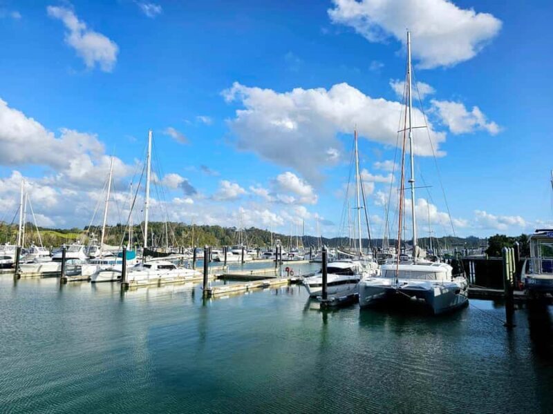 Bay of Islands - Mini Tour (75-90 mins) - A Closer Look at the Tour Itinerary and Highlights