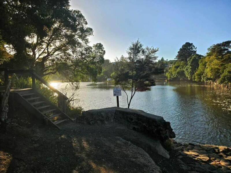 Bay of Islands - Mini Tour (75-90 mins) - Practical Details and Value