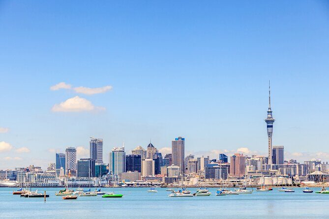 Bay of Islands Private Tour - What Reviewers Love Most