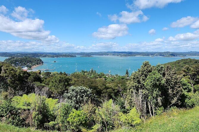 Bay of Islands Scenic Tour - Pricing and Value