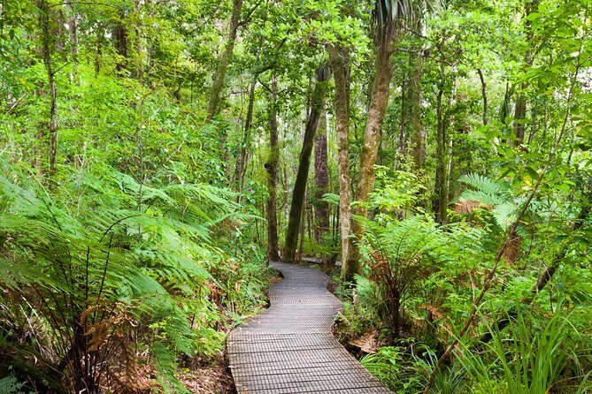 Bay of Islands Shore Excursion: Puketi Rainforest Guided Walk - In Closing
