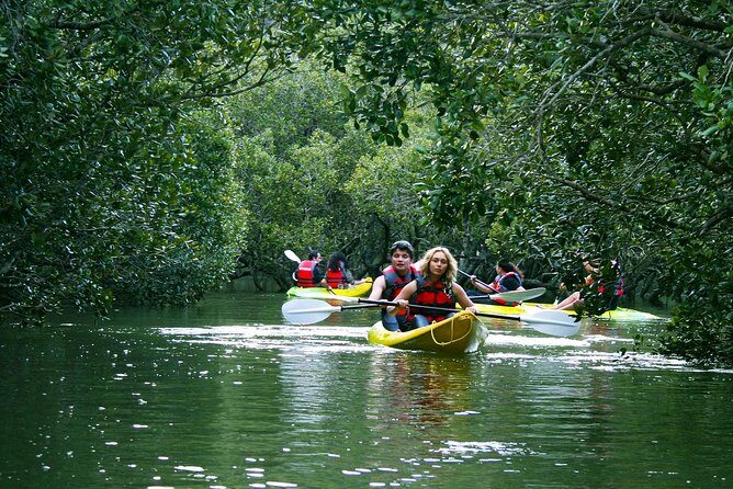 Bay of islands Waterfall Cruise Kayaking Tour - What to Bring and Consider