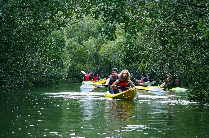 Bay of islands Waterfall Cruise Kayaking Tour - FAQ
