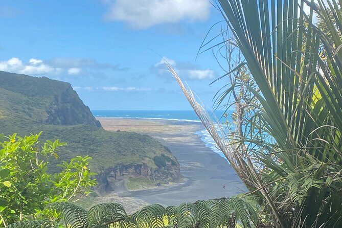 Bay of the Boisterous Seas Piha & Karekare - What the Reviews Say