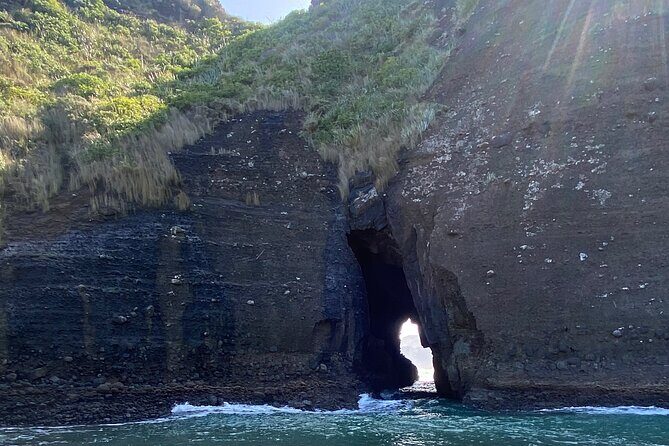 Bay of the Boisterous Seas Piha & Karekare - Who Should Consider This Tour?