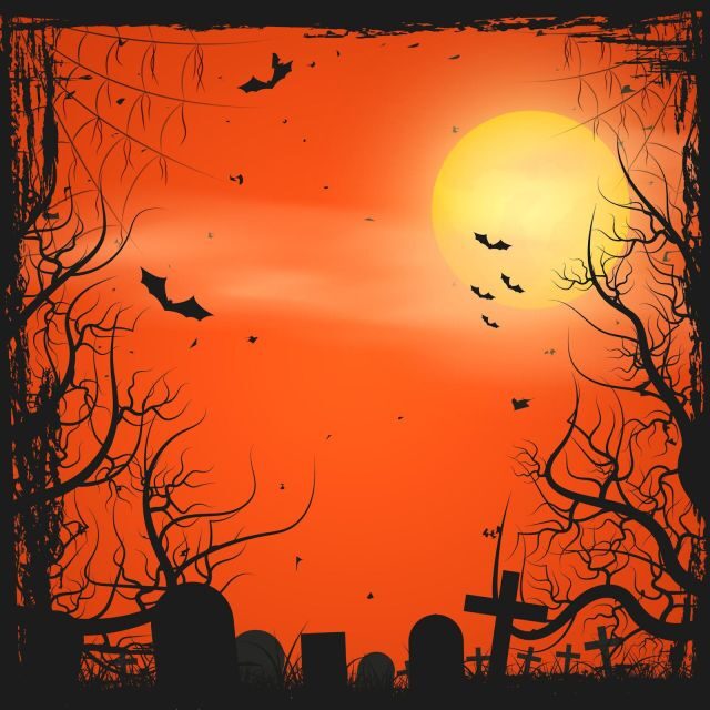 Bay Saint Louis: The Spirit Ghost and Walking Tour - Practical Tips for Visitors