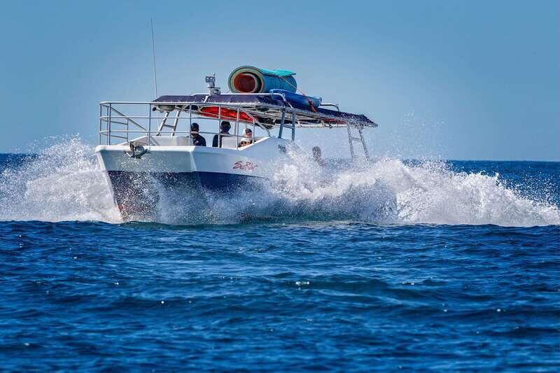 Bay trip and the Arch of Cabo San Lucas - Exploring the Iconic Cabo San Lucas on a Bay Trip and the Arch Tour