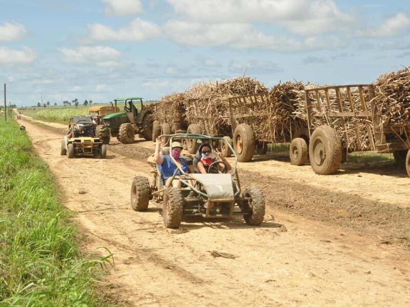 Bayahibe: Buggy and Horseback Riding Tour - The Experience in Detail