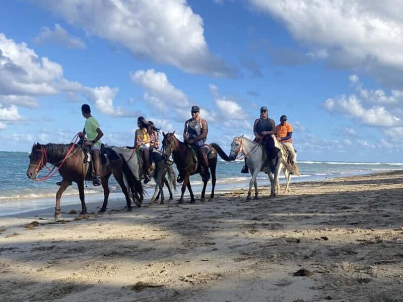 Bayahibe: Buggy and Horseback Riding Tour - Practical Tips for Participants