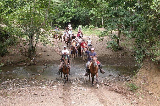 Bayahíbe Horseback Riding & River swimmig - Key Points