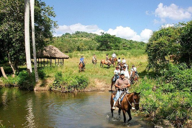 Bayahíbe Horseback Riding & River swimmig - The Value of the Tour: Price and Benefits