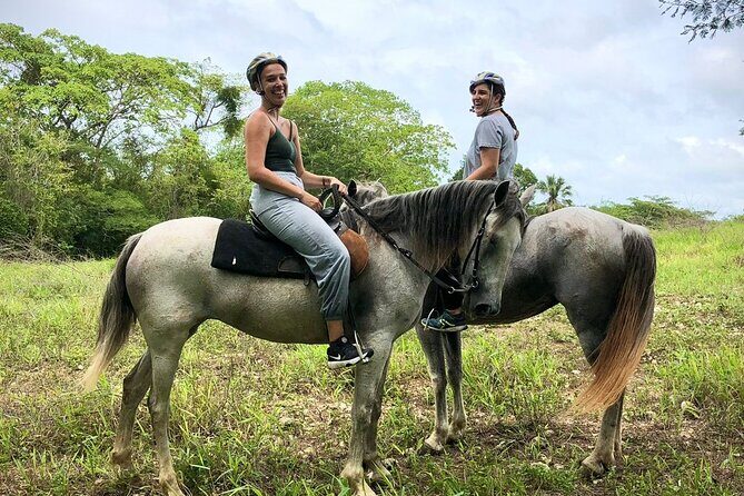 Bayahíbe Horseback Riding & River swimmig - Real Feedback from Travelers