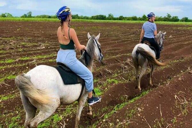 Bayahíbe Horseback Riding & River swimmig - FAQ